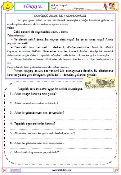 2. Sınıf Türkçe Okuma ve Anlama Etkinliği (Dövüşçü Aslan ile Yabandomuzu)